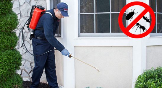 Eruh Kene İlaçlama böcek ilaçlama ve haşere kontrolü — ilaclama-tr.com